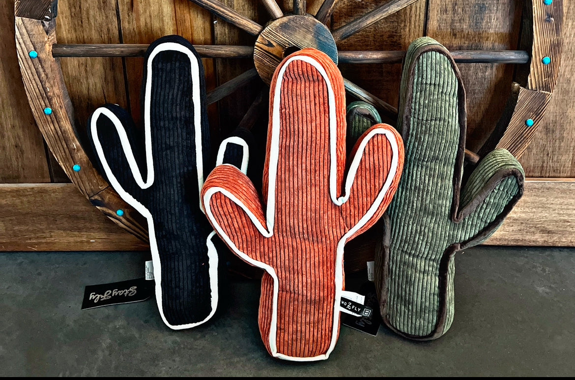 Cactus Pillows