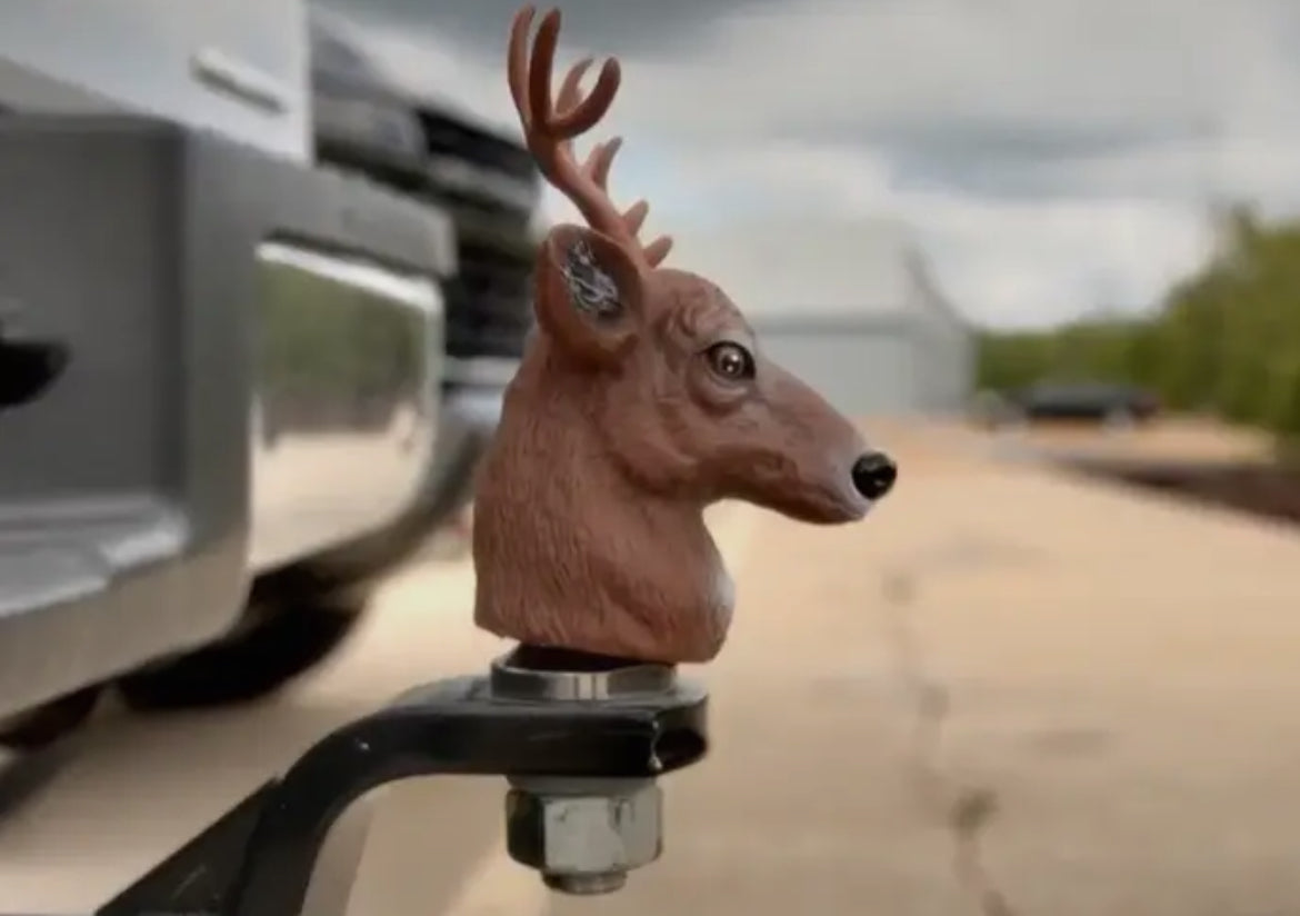 Trailer Hitch Ball Cover