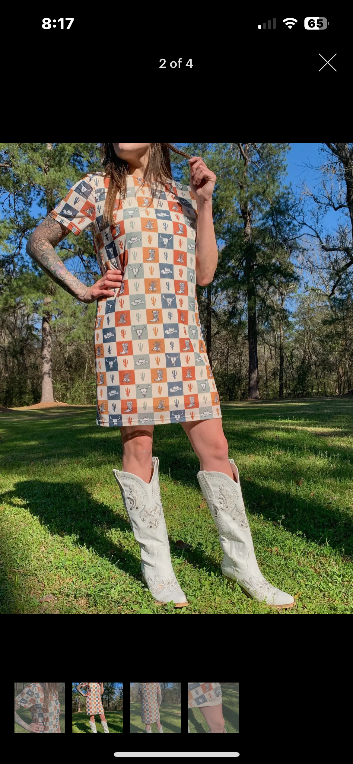 Checkered Western Mesh Dress