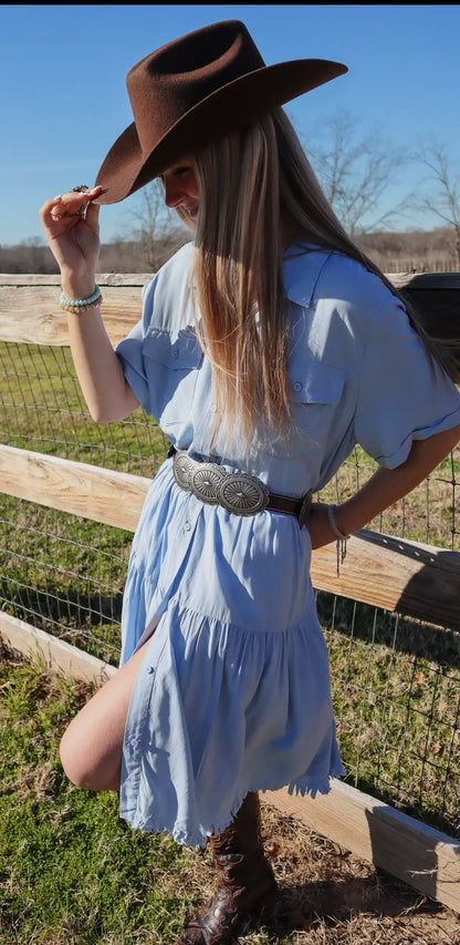 Chambray Dress