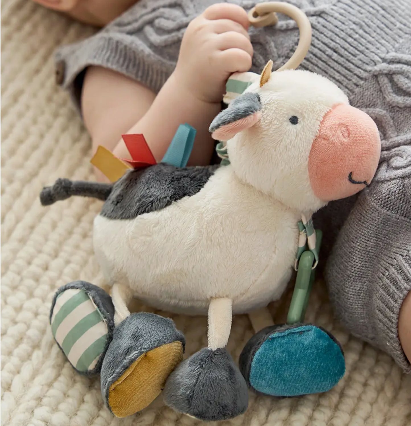 Itzy Ritzy Western Baby Items