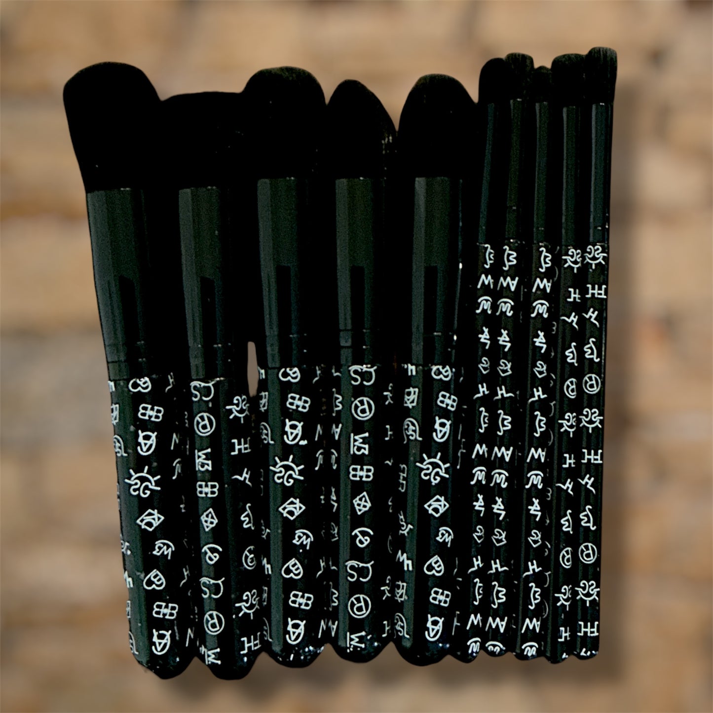 10 piece Makeup Brush Sets
