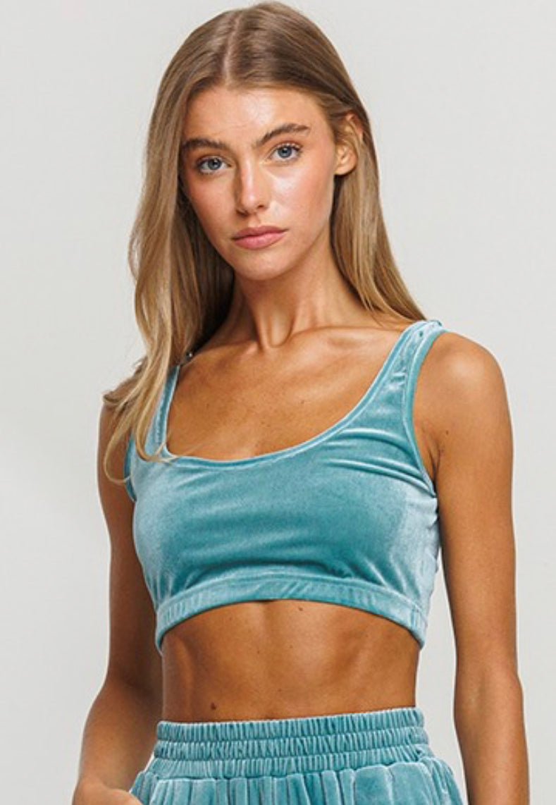 Mint Velvet Top